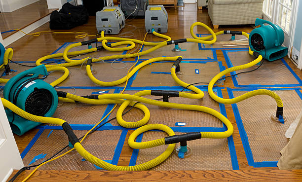 Professional Storm Water Damage Restoration technician working in Brookdale, NJ